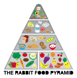 Home food pyramid types of healthy food types of unhealthy food ...